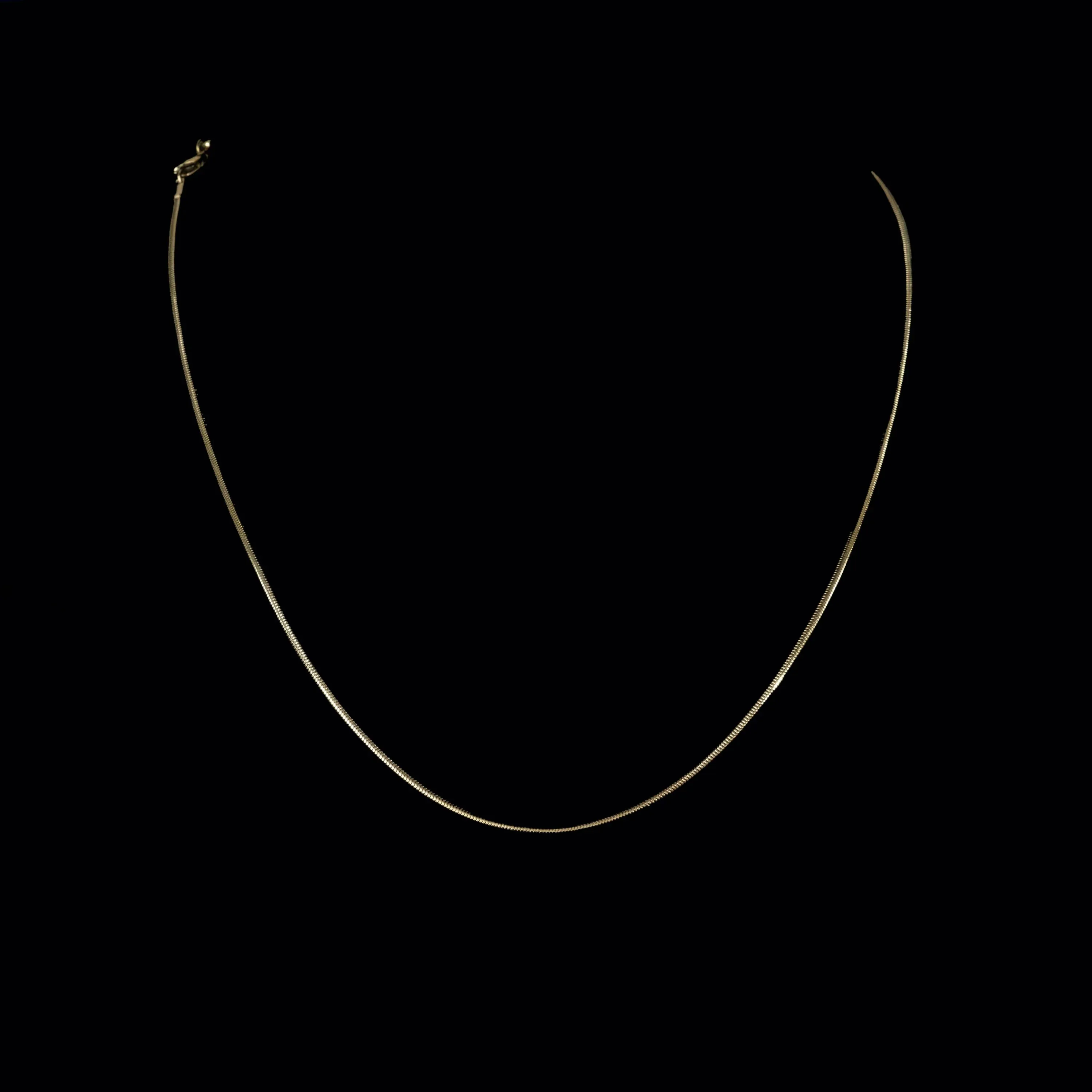 Karim Golden Snake Chain Necklace